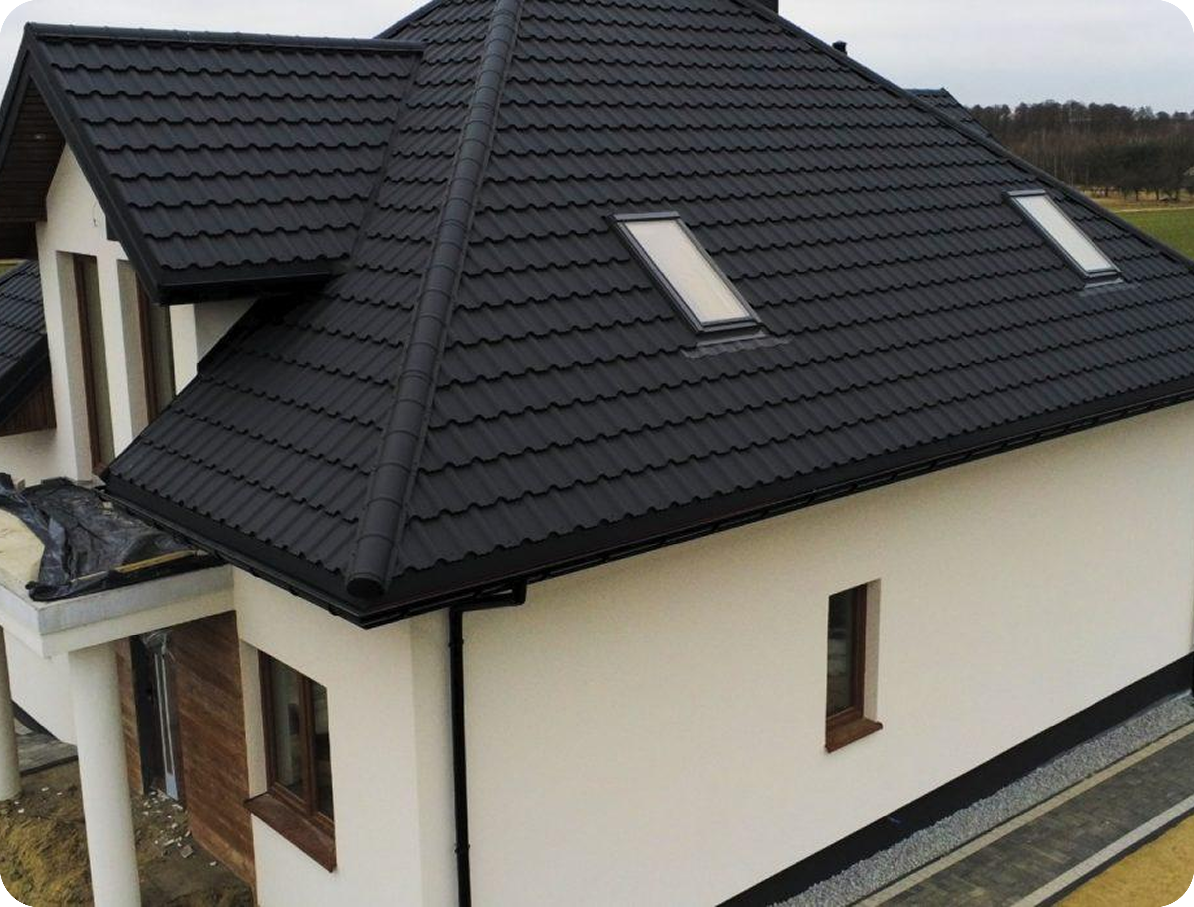 Proiect finalizat Alpina 2